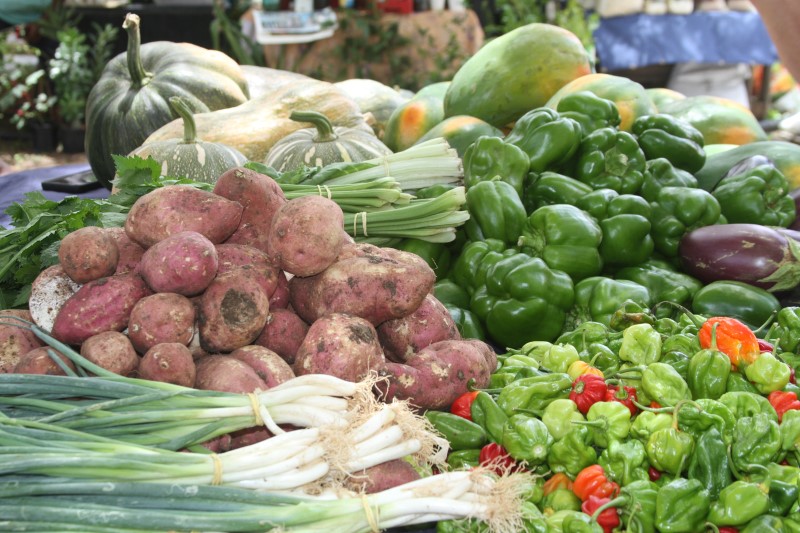 Hofi Moringa met verse groente en fruit en kraampjes lokale boeren 10