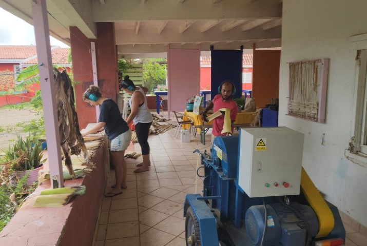 Farm to Crafts zamelt bananenstammen in