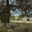 Swaen Curaçao in Erfgoed Deal