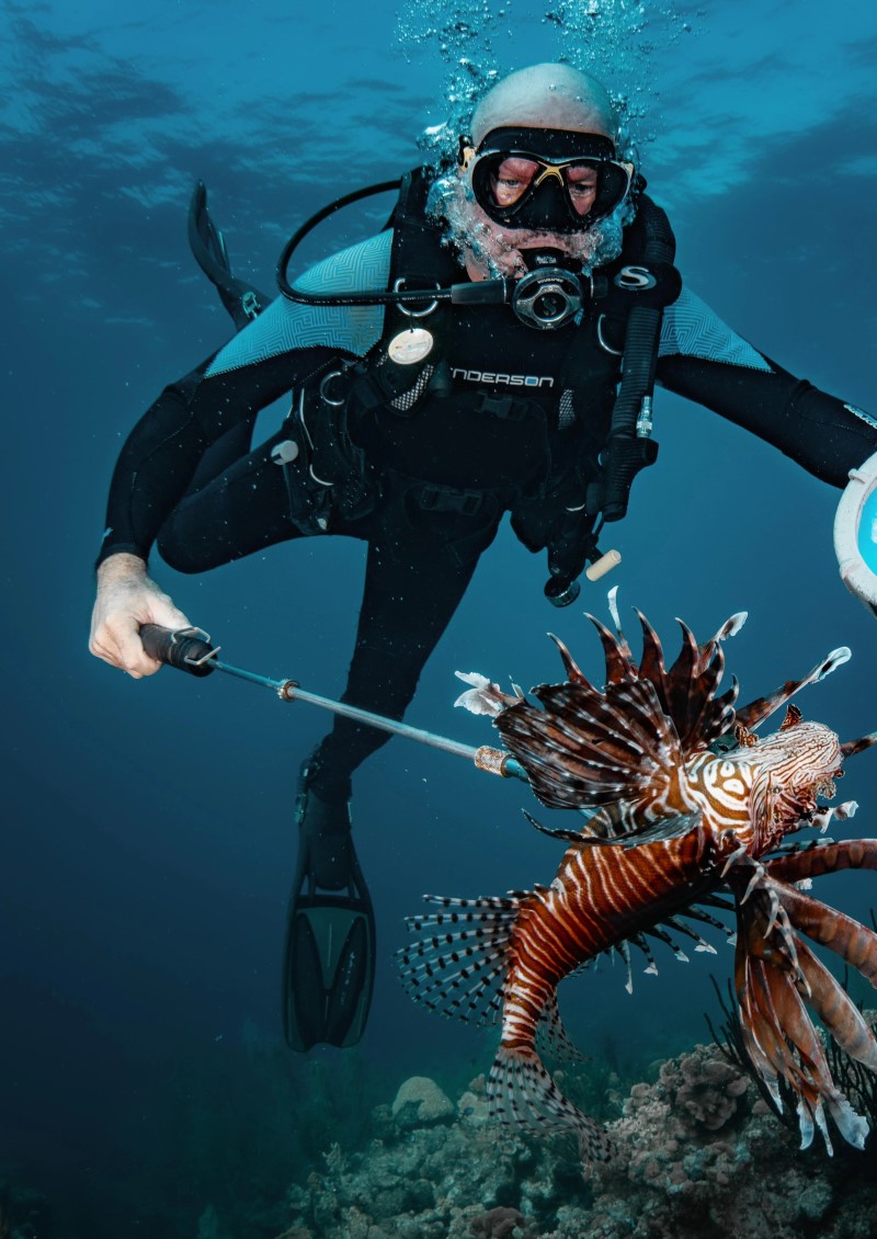 BONlionfish