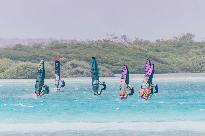 BONsurf1