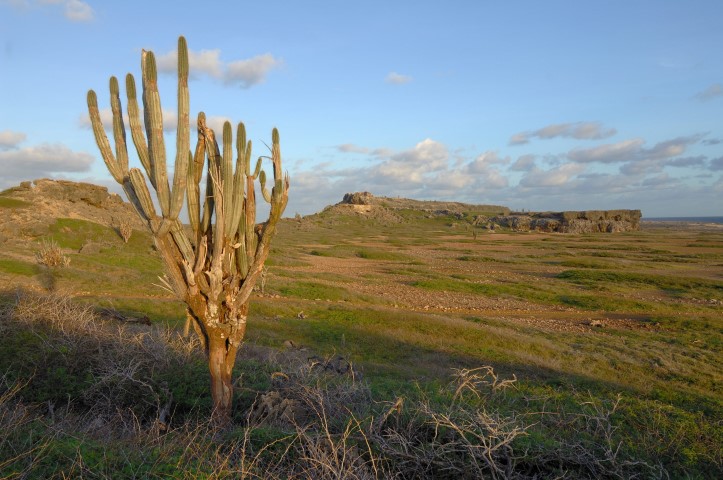 BESnatuur