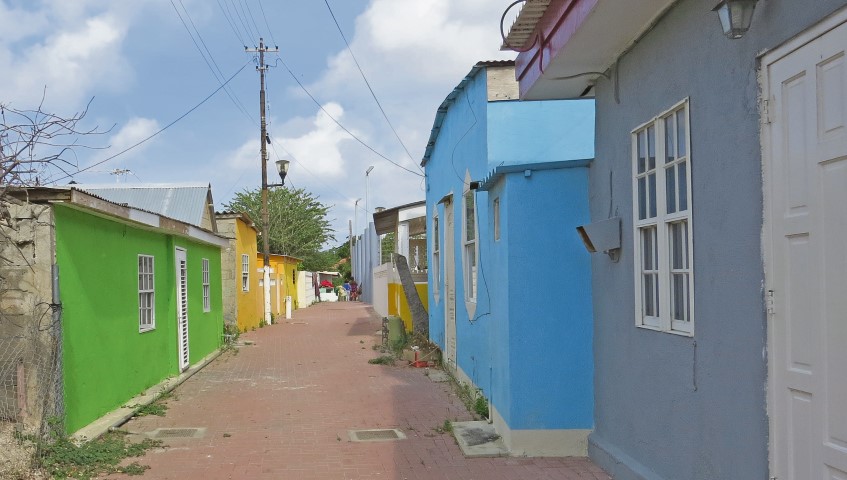 FleurdeMarie