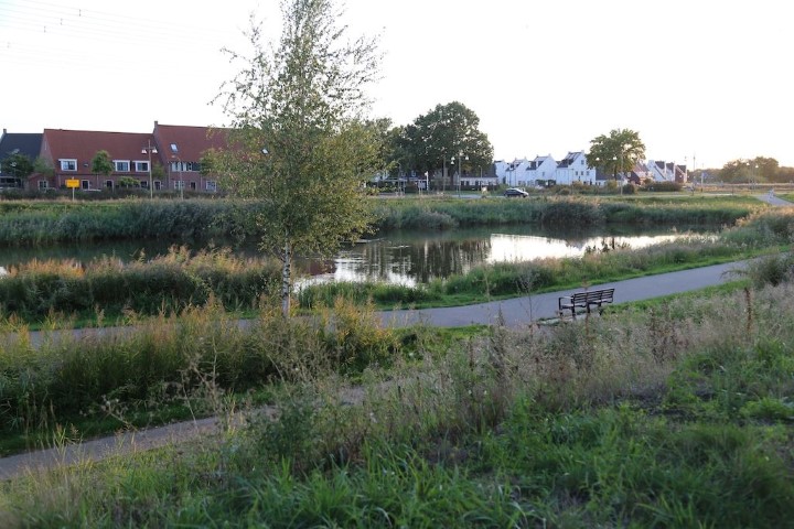 ARUPorcity2