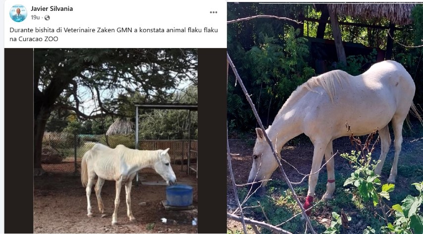 zoopaard