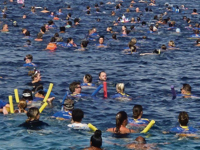 F15 Swim 1